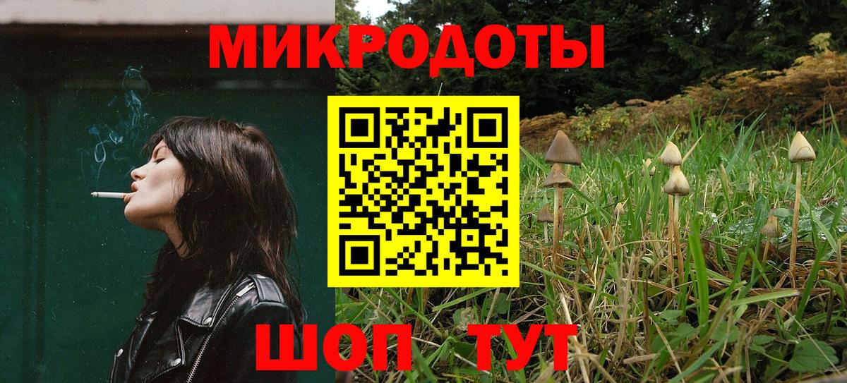 Псилоцибиновые грибы мухоморы Северобайкальск