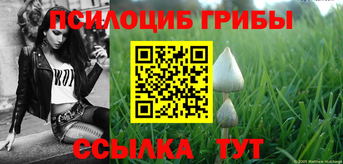Псилоцибиновые грибы MAGIC MUSHROOMS  Вход с VPN  Северобайкальск 